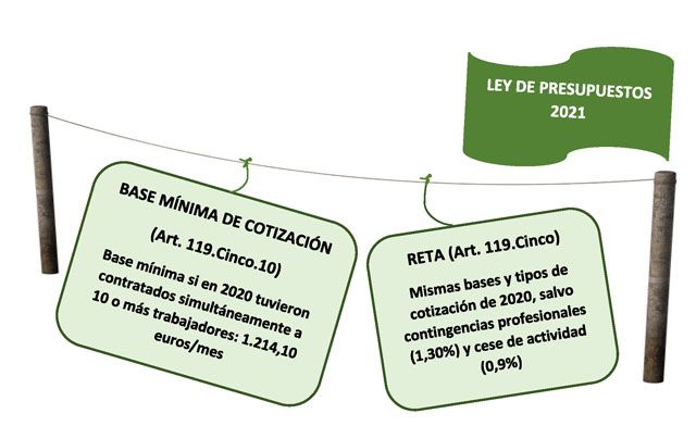 Ley de presupuestos 2021