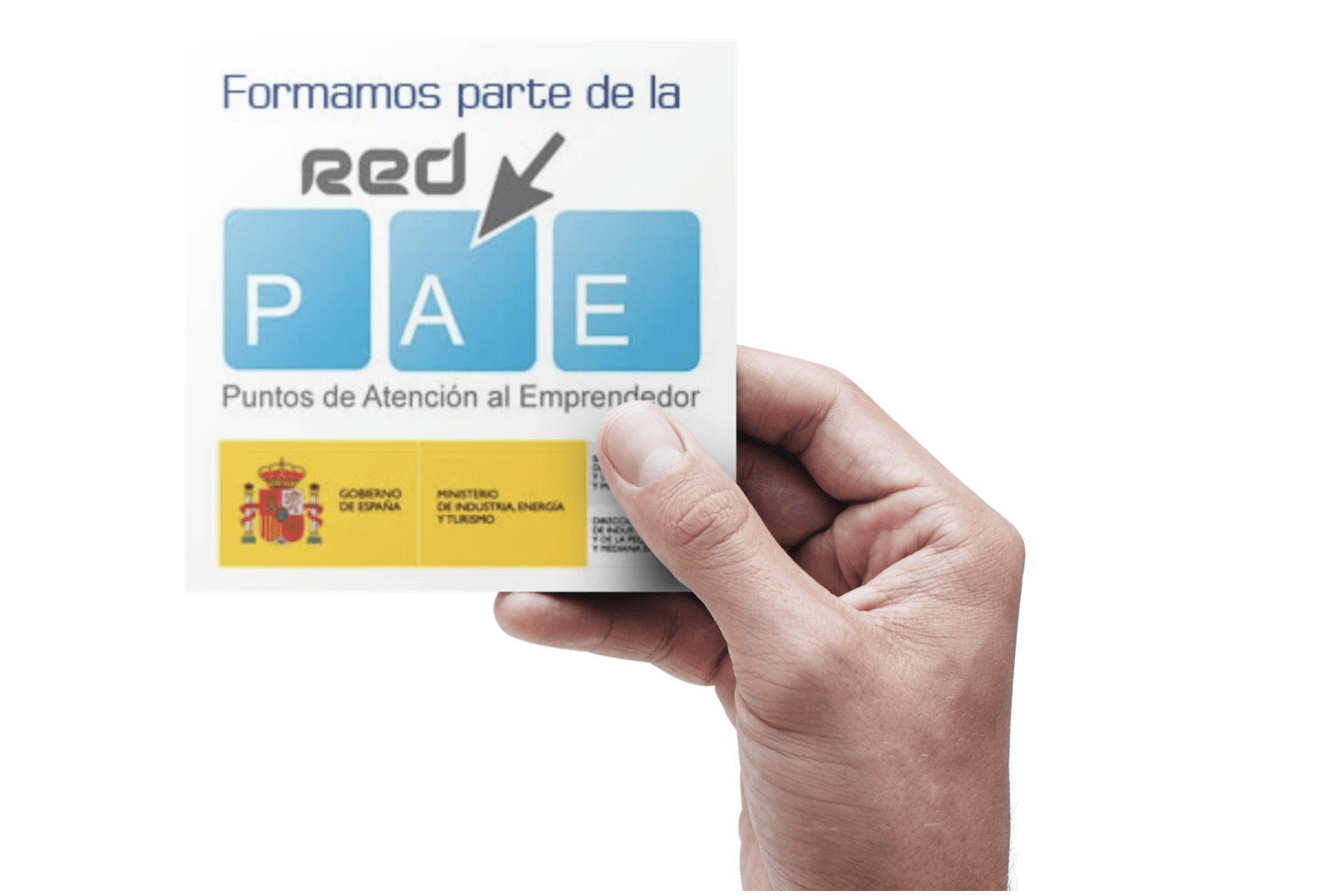 pae-electronico2